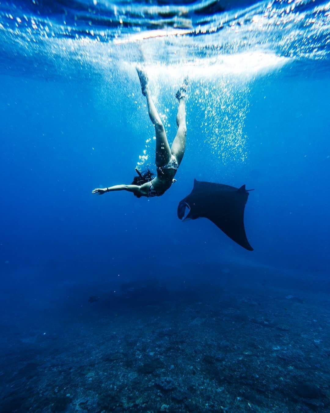 snorkeling-in-nusa-penida-tour-giant-manta-rays-nusa-penida-gallery-3168